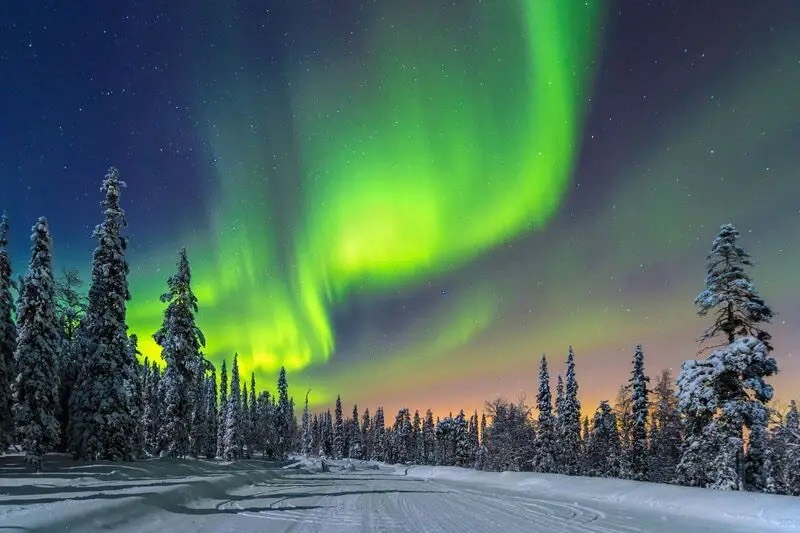 Aurora Boreal sobre floresta nevada, Noruega