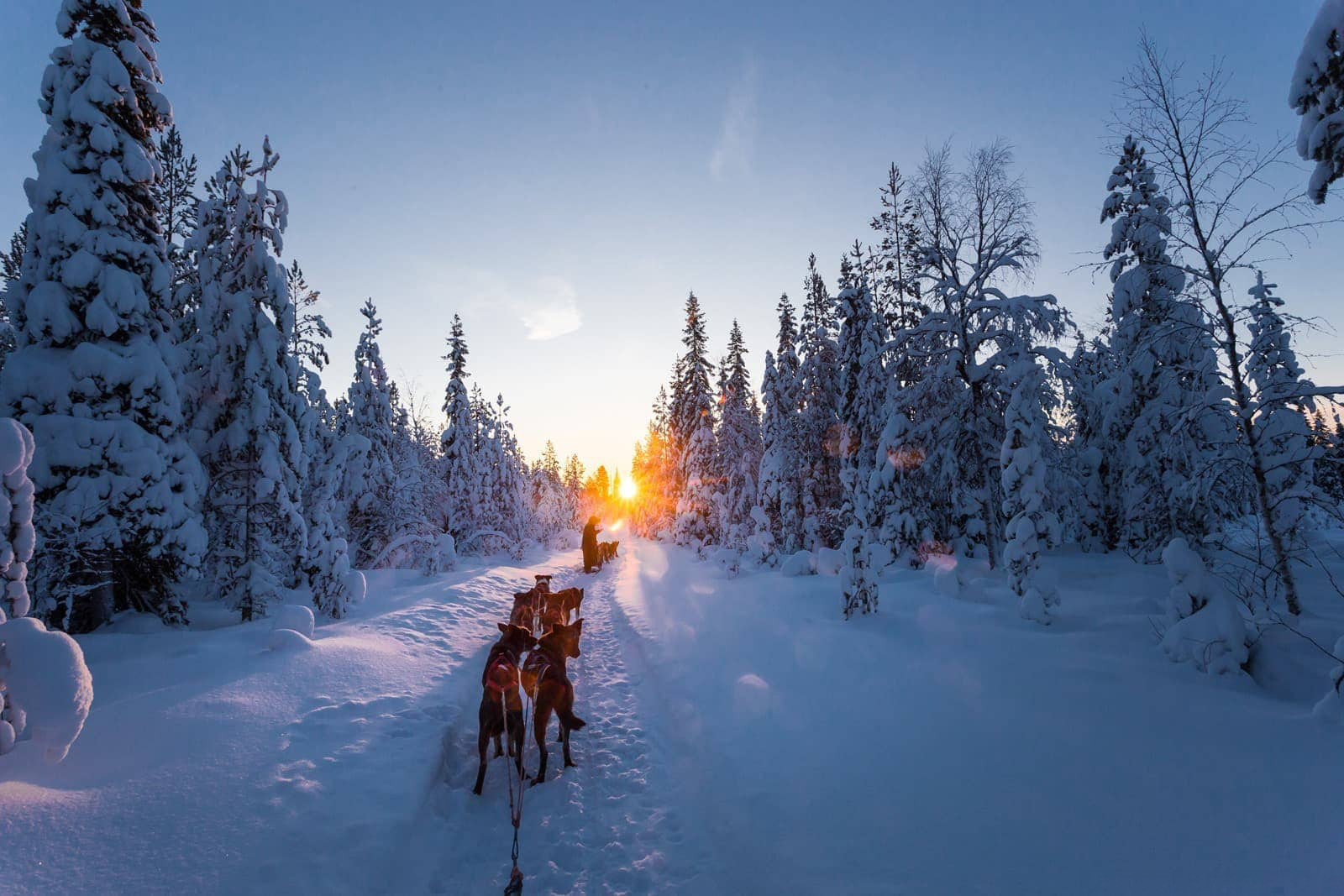 Trenó de huskies na Lapônia finlandesa