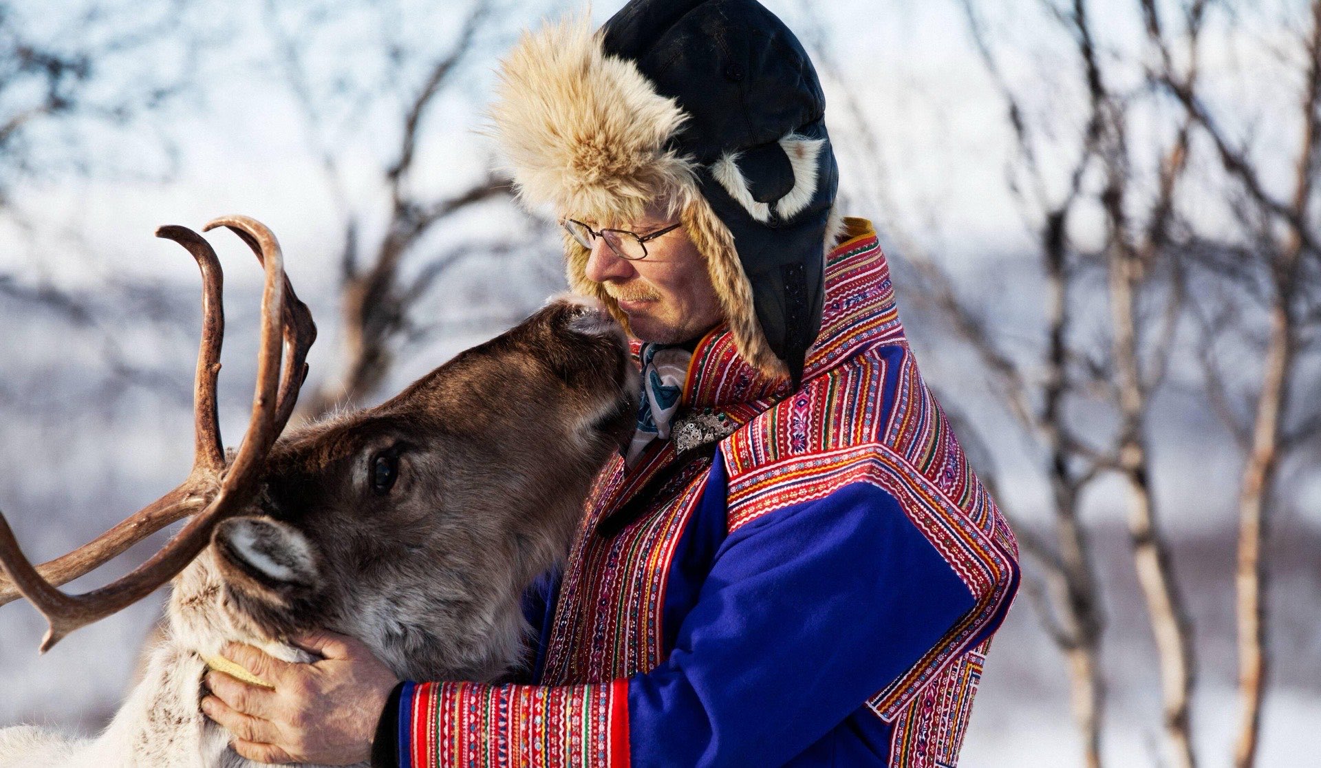 Cultura Sámi e renas